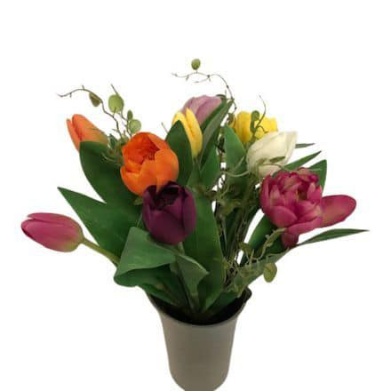 Opdatér dig her: Det nyeste fra Skive