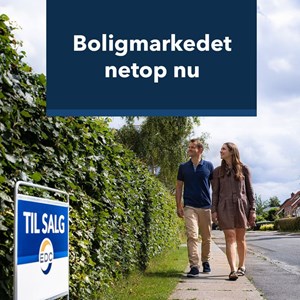 Opslagsbillede