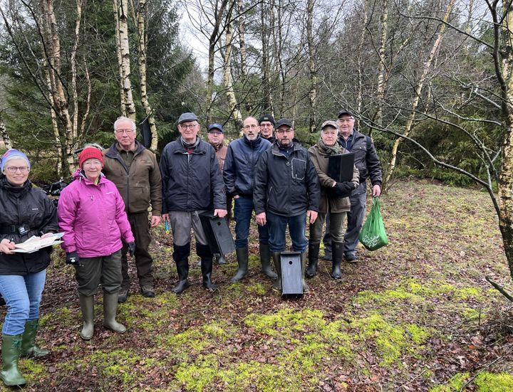 Truet fuglebestand fik hjælpende hånd fra lokale frivillige