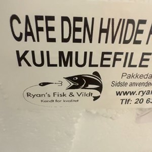 Opslagsbillede
