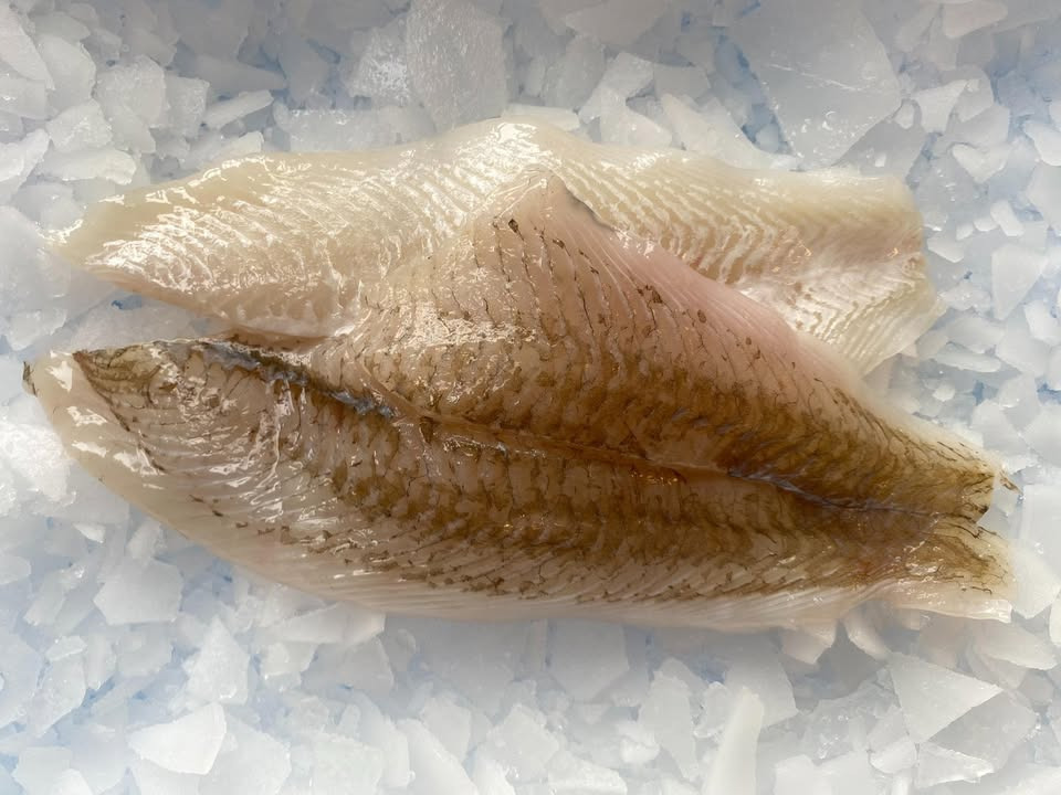 Hanstholm Auction Buyer sænker prisen på ugens fisk i netbutikken