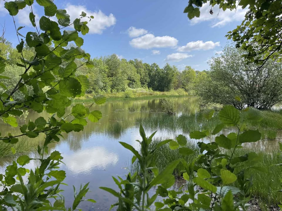Fordybelsesvandring med Heidi Bjerg Naturterapi til Jordnær Festival