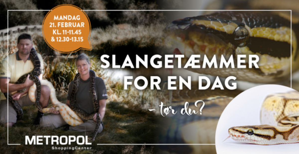 Slangetæmmer for en dag 