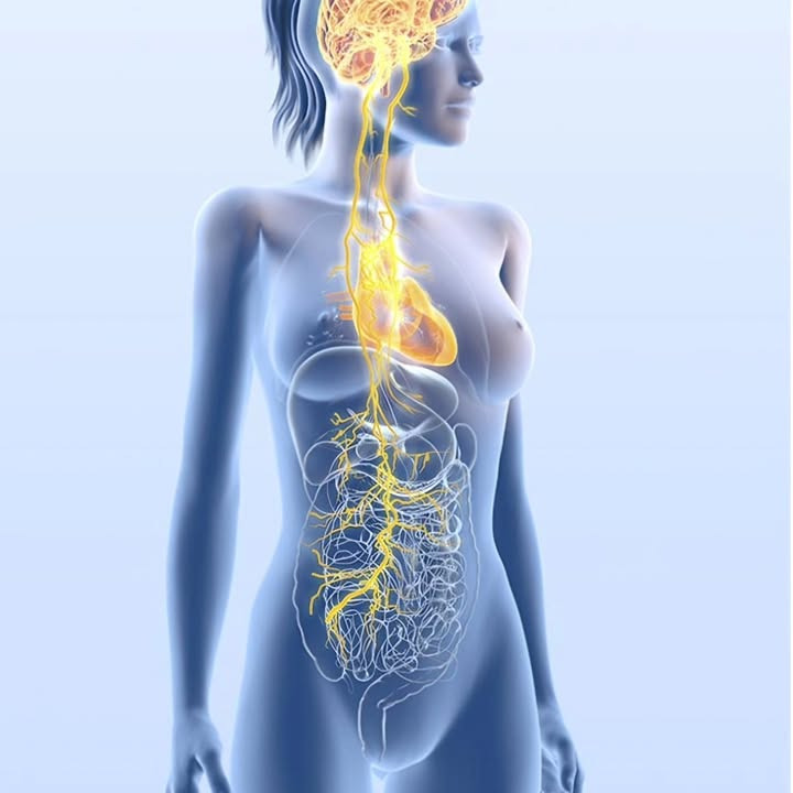 Afspænd din krop og sind hos Brandsborgs Kropsterapi