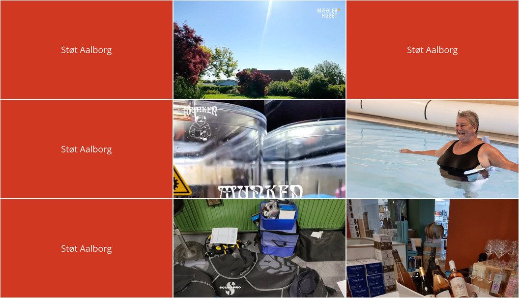 Nyt fra Mæglerhuset Aalborg, CARLSENS DYKKERCENTER A/S, Vin & Vin Aalborg og 2 andre