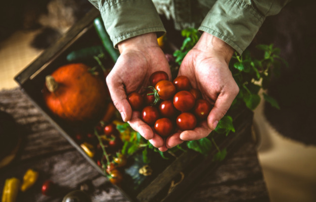 Kom til inspirationsaften om bæredygtighed og økologi