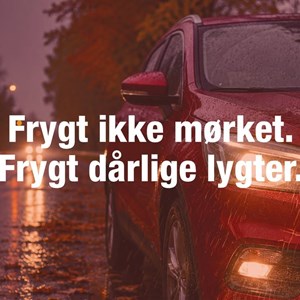 Opslagsbillede