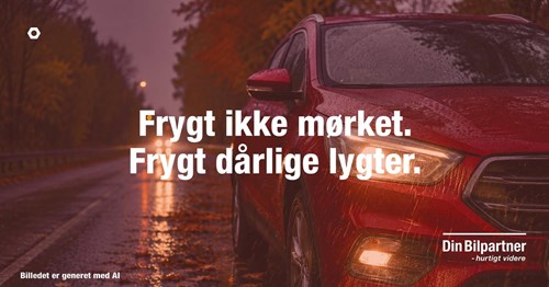 Opslagsbillede