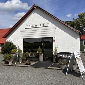 opslagsbillede
