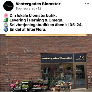 Opslagsbillede