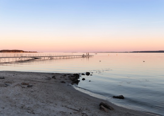 Fin Fjord? Horsens Bibliotek inviterer til debatskabende temaaften med foredrag og fingermad