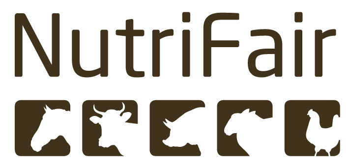 En finger på pulsen i Dronninglund