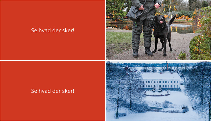 Juleoplevelser i Ruds Vedby: Hundevenner og hyggelig adventsfrokost