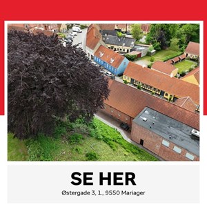 opslagsbillede