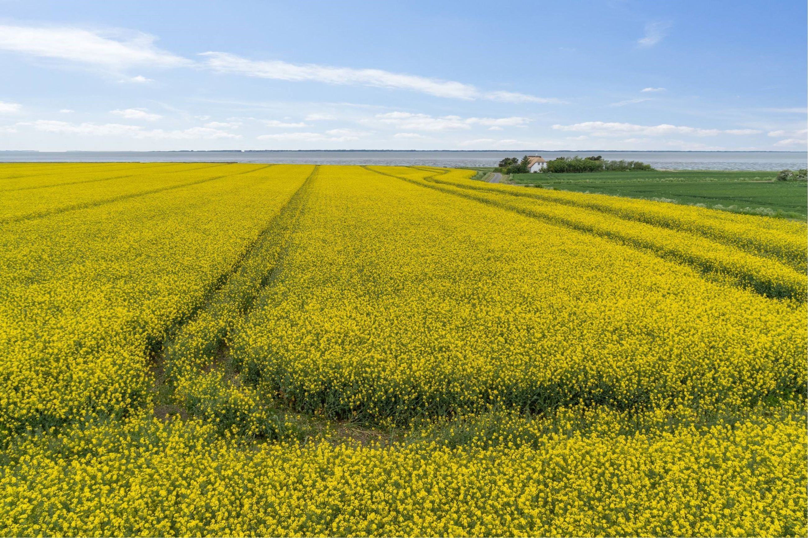 3,0  mio. kroner koster Vesterende 48, Ballum - se hvad der ellers er til salg i Bredebro