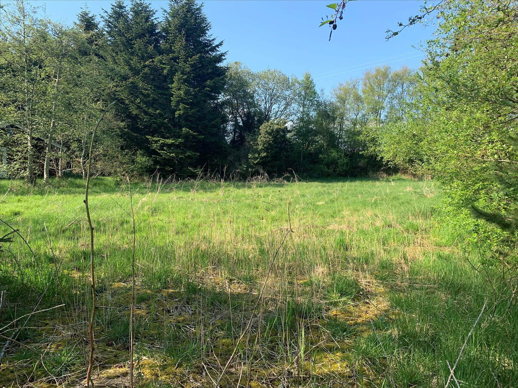 Træløbervej 11 er til salg for kun 129.000 kr.: Se de billigste boliger til salg i Hurup her