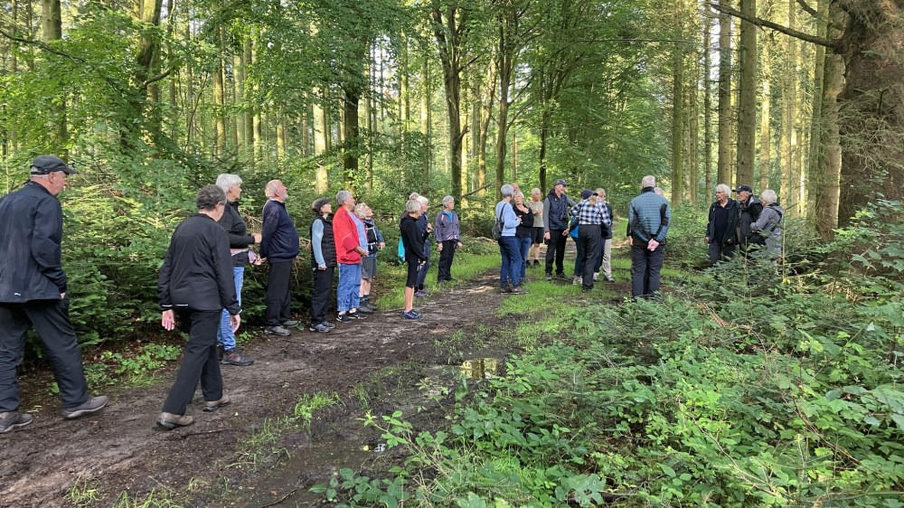 Udforsk Nationalpark Thy med "Gå i gang"-ture