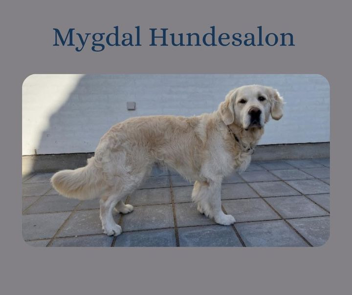 Hold trit med lokalområdet: Nyt fra Hjørring