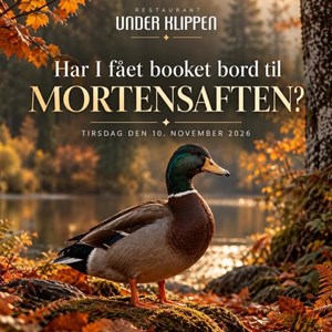 Opslagsbillede