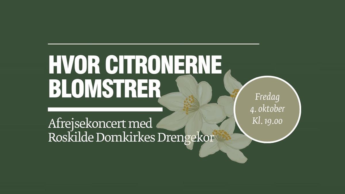 Roskilde Domkirkes Drengekor synger afrejsekoncert