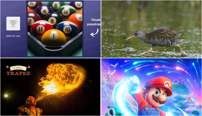 Weekend i Tønder: Spil, Sangfugle, Cirkus og Film