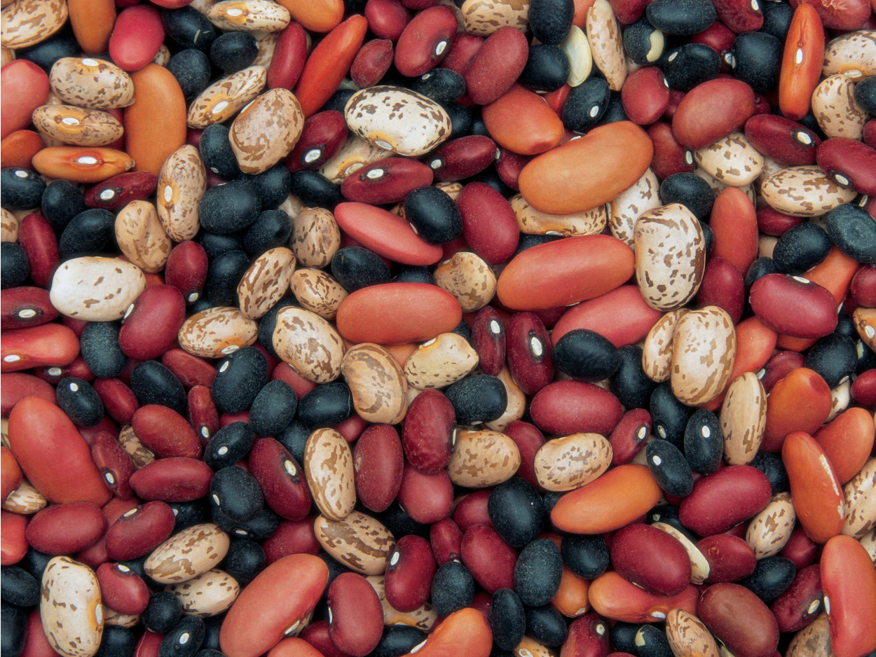 Hyggelig og klimavenlig fællesspisning i Kirkeladen