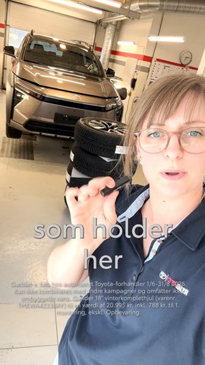 opslagsbillede
