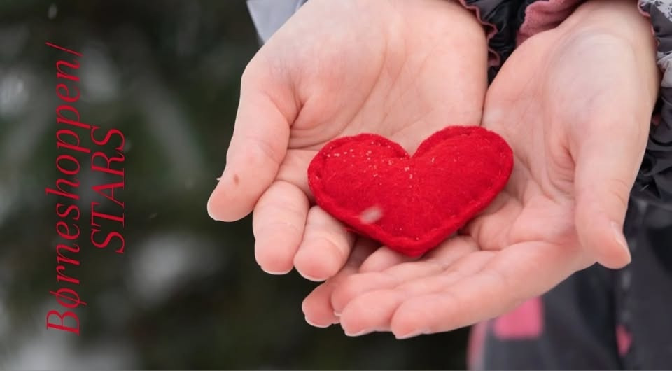 Børneshoppen Brønderslev tilbyder julehjælp til en værdig familie