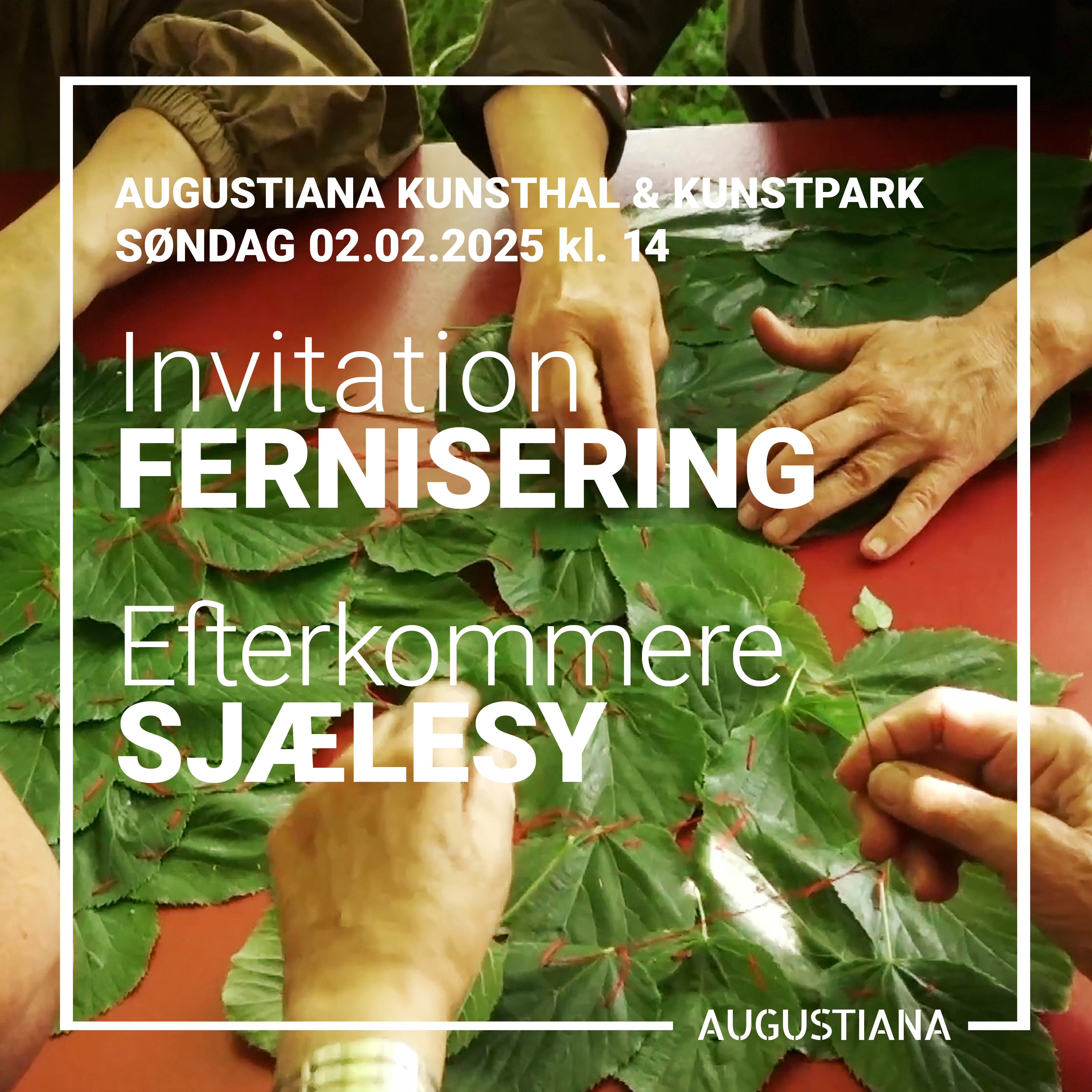 Fernisering på Efterkommere: SJÆLESY i Augustenborg