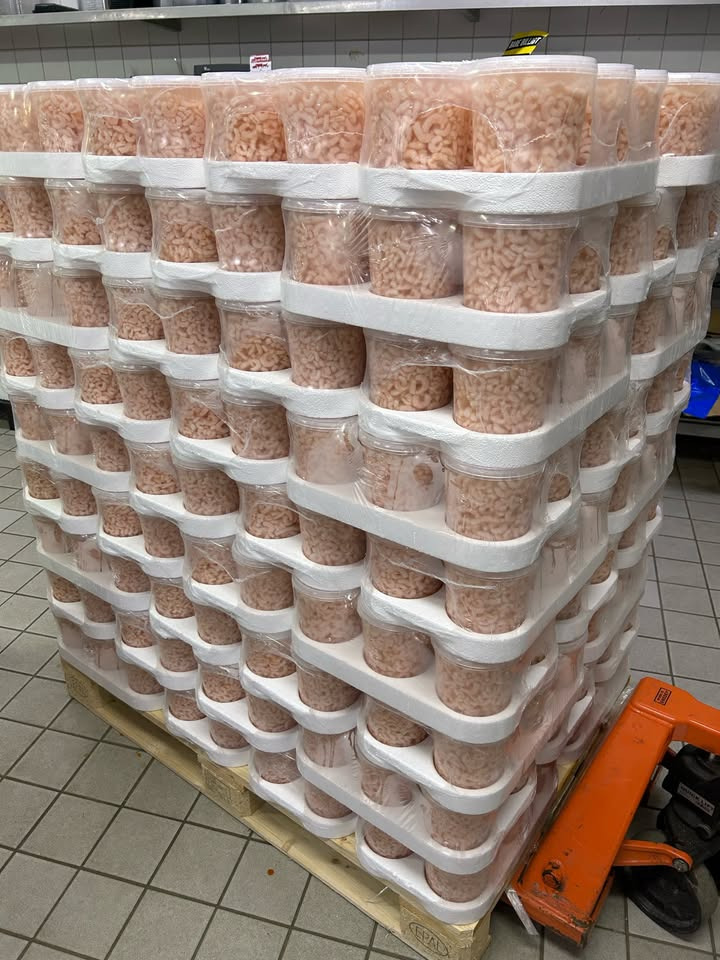 Løvbjerg Frederikshavn lancerer stærkt tilbud på danske rejer