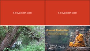 Politisk gåtur og kosmisk meditation: Oplevelser i Langeskov den kommende uge