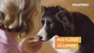 Frontpro tyggetabletter mod flåter og lopper nu tilgængelige på Ikast Apotek og online