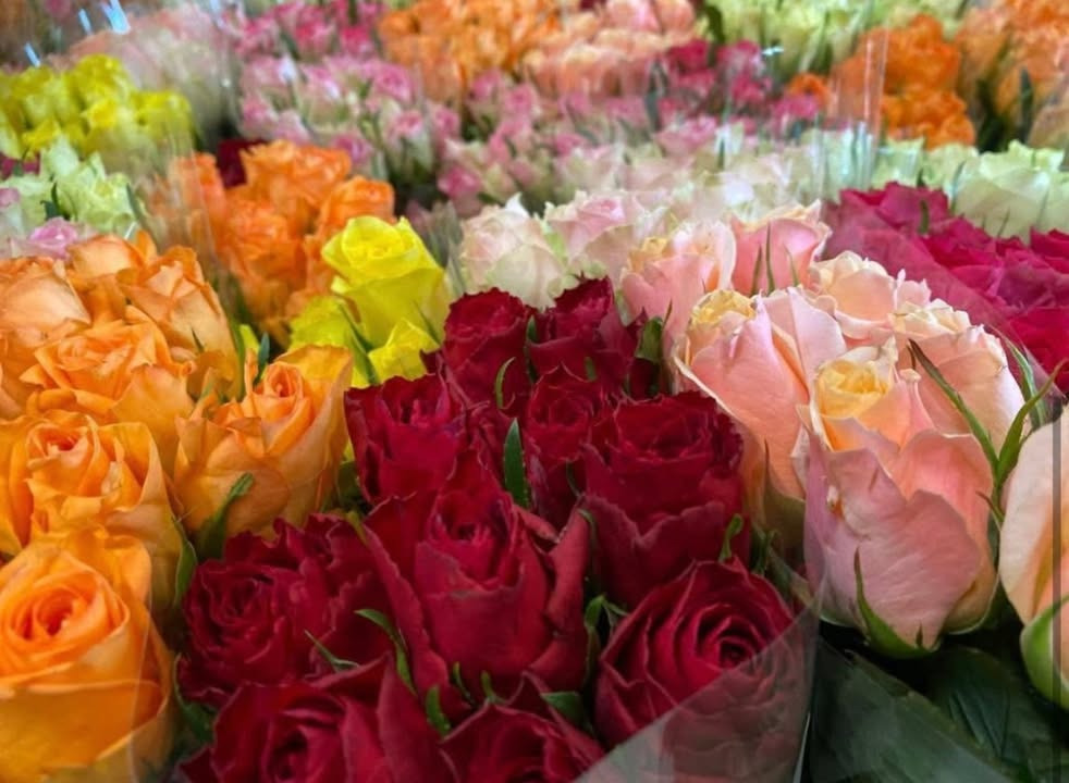 Meny Gl. Skagensvej tilbyder roser til særpris kun torsdag-fredag