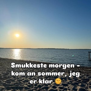 Opslagsbillede