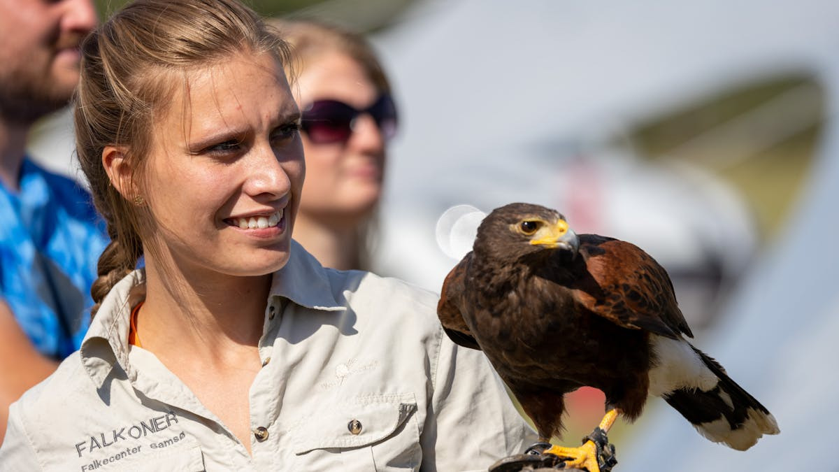 Oplev "Ørnesus" på Falkecenter Samsø