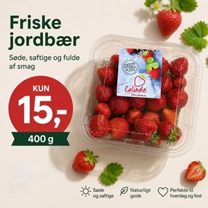 opslagsbillede