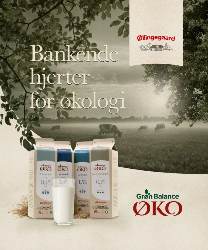 Det nyeste på Hjørrings opslagstavle