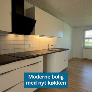 Opslagsbillede