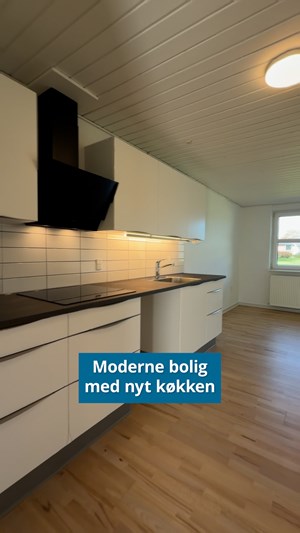 opslagsbillede