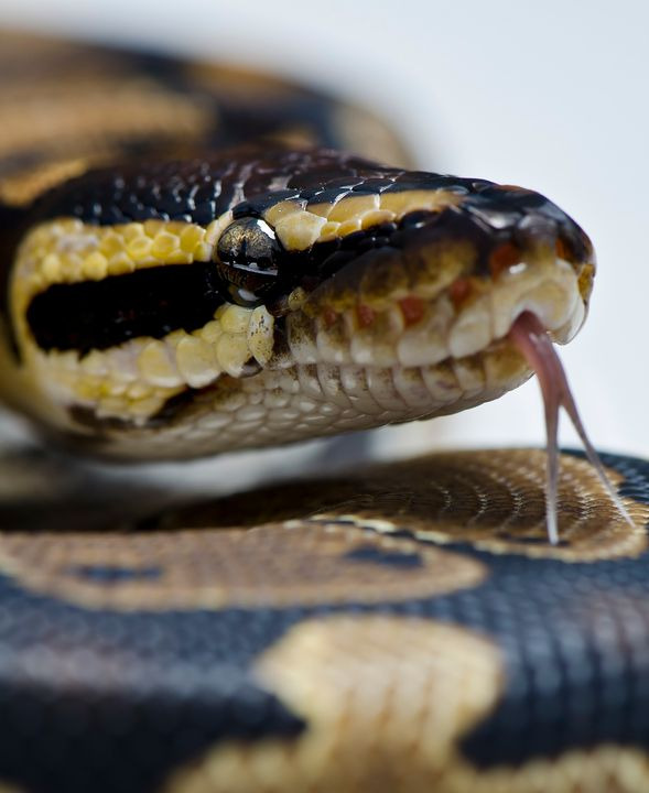 Se dagens updates fra Hjørring her