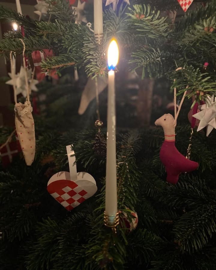 Florist Pernille DB klar med juleblomster i automaten den 25.-26. december