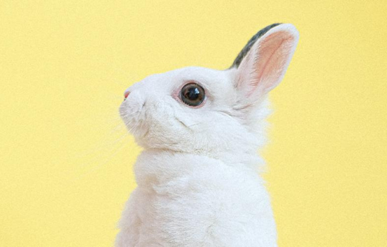 Varm op til påsken på Kolding Bibliotek: Gækkebrevsworkshop for børn 