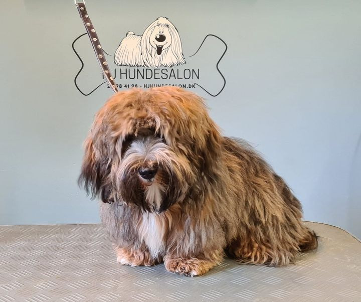 Hold trit med lokalområdet: Nyt fra Sæby