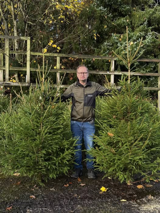 Midtjysk Gartnerhal åbner for julesøndagsshopping