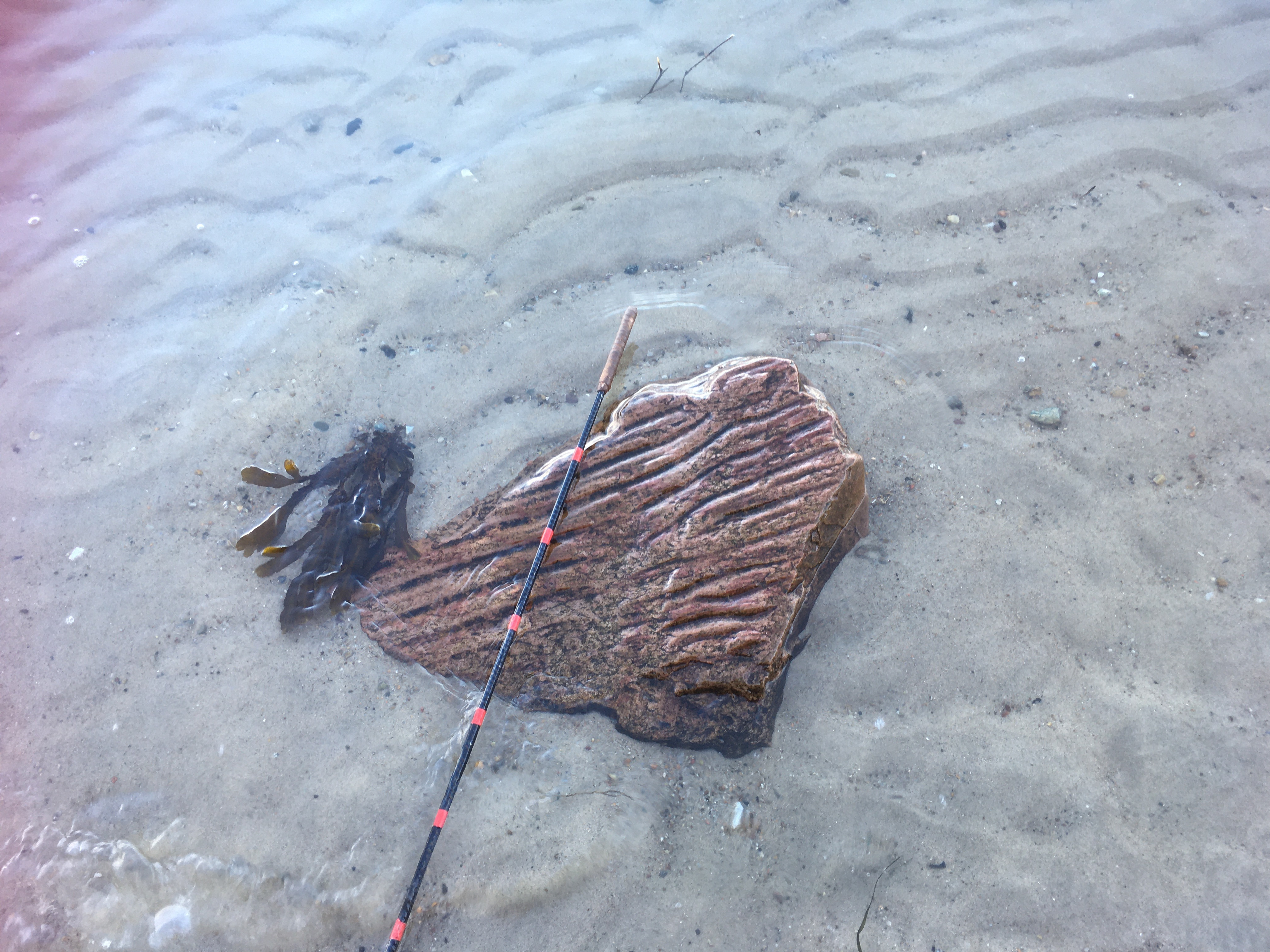Oplev geologiske vidundere ved Palsgaard Park