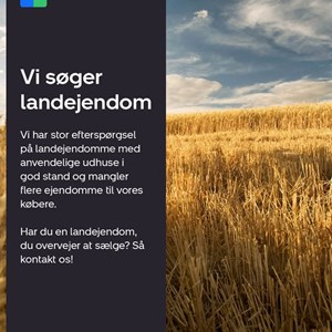 Opslagsbillede
