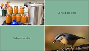 Weekenden i Herlufmagle: Madlavning og naturudflugter