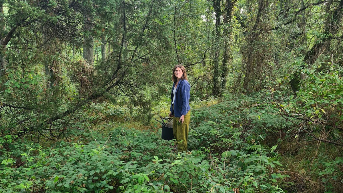 Solhvervssammenkomst i Roskilde: En sanselig rejse i mørket