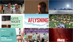 Nyt fra Herning Løve Apotek, Dyrehospitalet Heden ApS, Hjertelyd - scanningsklinik for gravide og 8 andre
