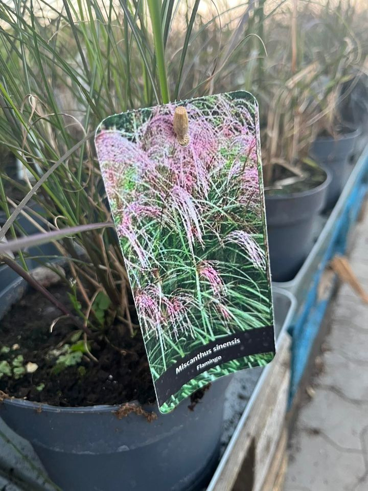 Nyt på opslagstavlen i Horsens